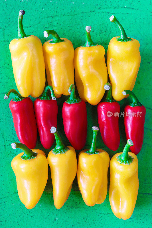 三排红黄相间的迷你辣椒(Capsicum annuum)的特写图片，绿色背景，高架视图